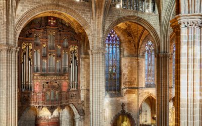 Asistencia al concierto de órgano en la Catedral de Barcelona