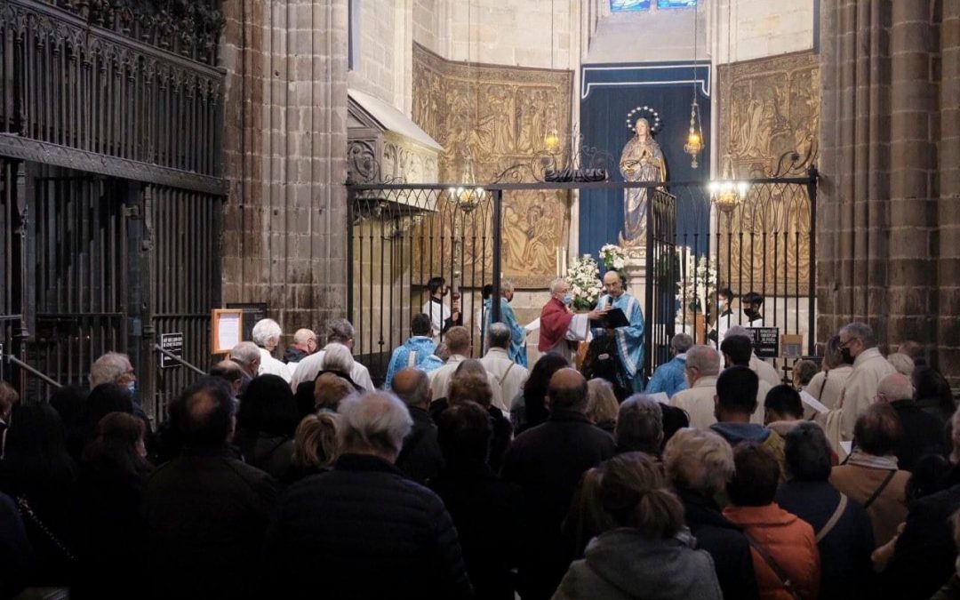 Asistencia a la celebración de la Inmaculada Concepción